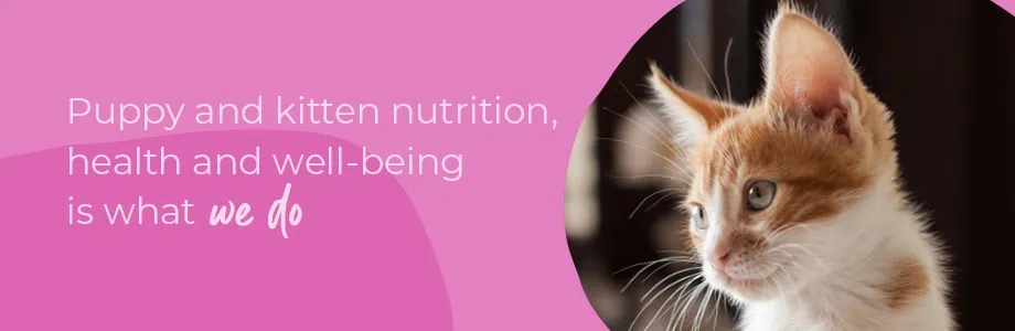 Start of Life for Your Puppy or Kitten