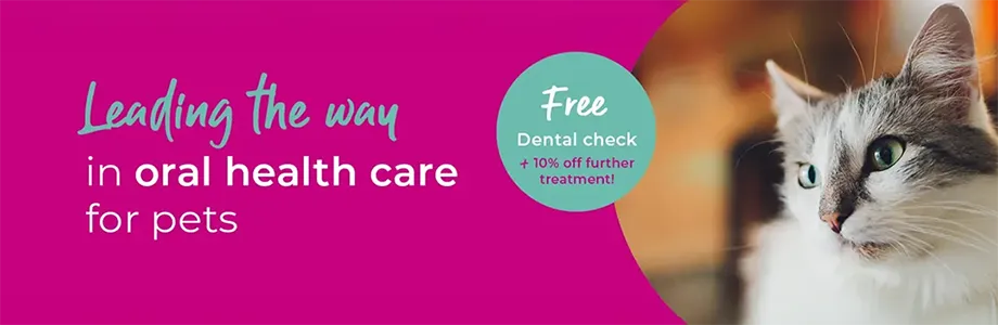 Dentistry for Small Animals