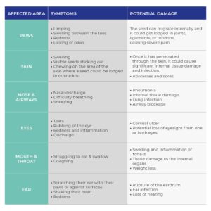 Table of dangers to different parts of a pet's body