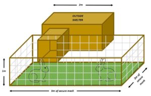 Rabbit enclosure size with outside shelter