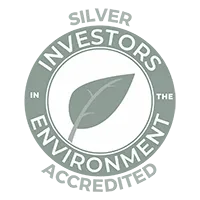 silver iie logo