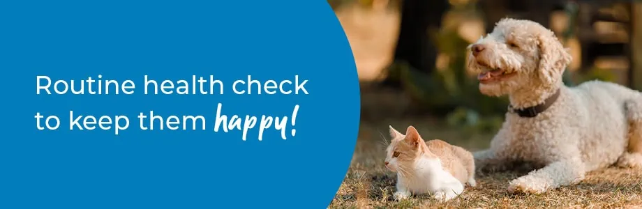 Annual Health Check