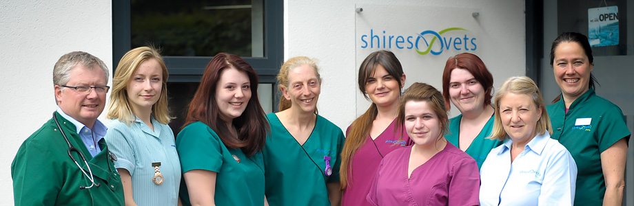 Meet Shires Vets veterinary team