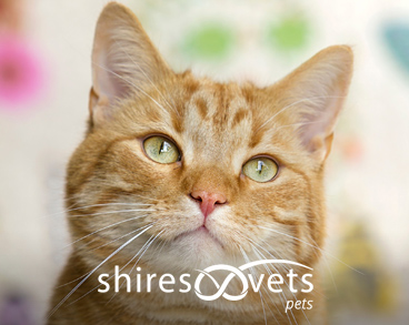 Shires Pets Reqards Scheme